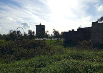 Foto 50 - Rustico Contrada Vita Case Rosse, Galatina - foto 50