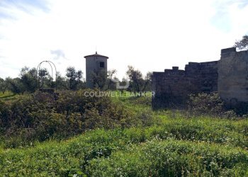 Foto 51 - Rustico Contrada Vita Case Rosse, Galatina - foto 51