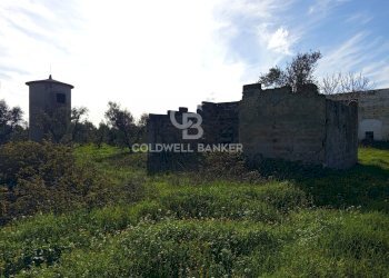 Foto 52 - Rustico Contrada Vita Case Rosse, Galatina - foto 52