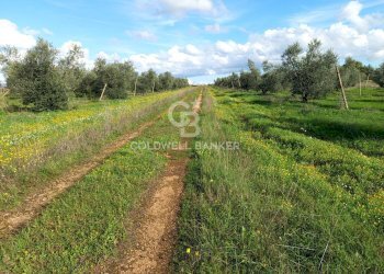 Foto 53 - Rustico Contrada Vita Case Rosse, Galatina - foto 53