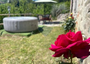 Dettagli - Agriturismo Pescaglia - foto 5