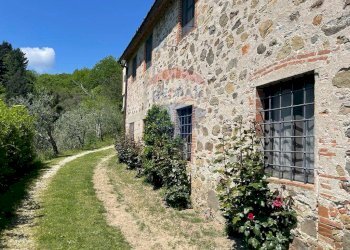 Giardino - Agriturismo Pescaglia - foto 28