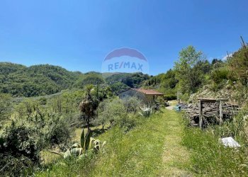 Vista delle montagne - Agriturismo Pescaglia - foto 55