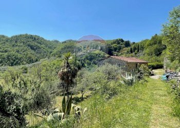 Vista delle montagne - Agriturismo Pescaglia - foto 56