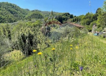 Vista delle montagne - Agriturismo Pescaglia - foto 57