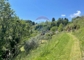 Giardino - Agriturismo Pescaglia - foto 60