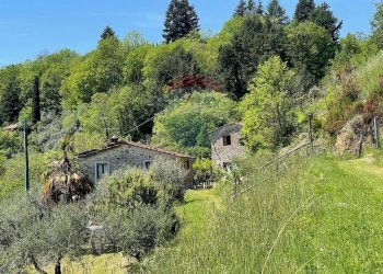 Giardino - Agriturismo Pescaglia - foto 65