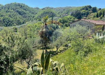 Vista delle montagne - Agriturismo Pescaglia - foto 66
