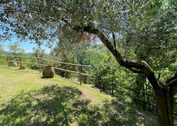 Giardino - Agriturismo Pescaglia - foto 72