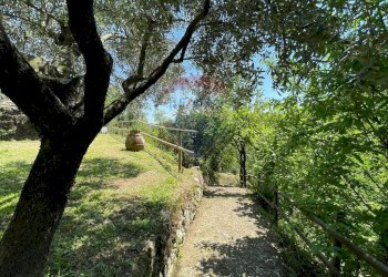 Giardino - Agriturismo Pescaglia - foto 73