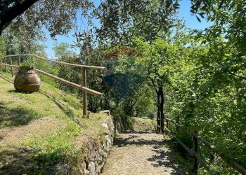 Giardino - Agriturismo Pescaglia - foto 74