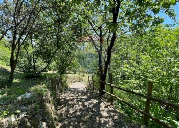 Giardino - Agriturismo Pescaglia - foto 75