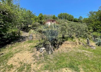 Giardino - Agriturismo Pescaglia - foto 76