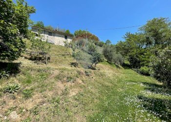 Giardino - Agriturismo Pescaglia - foto 83