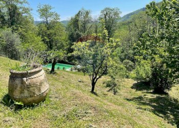 Giardino - Agriturismo Pescaglia - foto 84