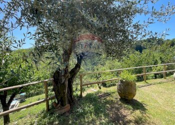 Giardino - Agriturismo Pescaglia - foto 86