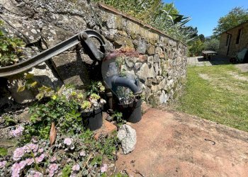 Giardino - Agriturismo Pescaglia - foto 88