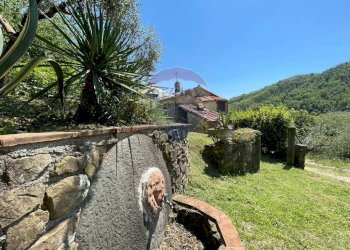 Giardino - Agriturismo Pescaglia - foto 97