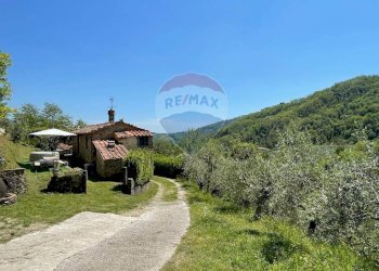 Vista delle montagne - Agriturismo Pescaglia - foto 99