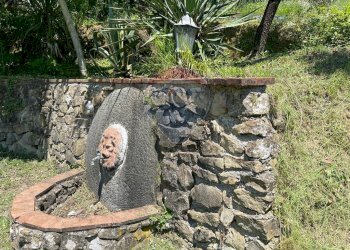 Giardino - Agriturismo Pescaglia - foto 100