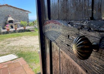 Dettagli - Agriturismo Pescaglia - foto 101