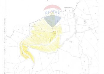 Pianta 2D - Agriturismo Pescaglia - foto 105