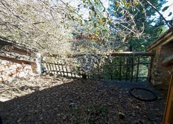 Giardino - Rustico Lucca - foto 21