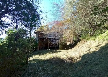 Giardino - Rustico Lucca - foto 22