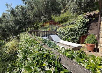 Giardino - Rustico Bagni di Lucca - foto 10