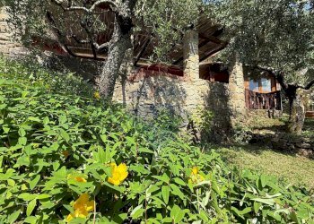 Giardino - Rustico Bagni di Lucca - foto 45