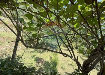 Giardino - Rustico Bagni di Lucca - foto 51