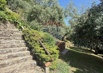 Giardino - Rustico Bagni di Lucca - foto 56