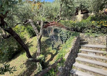 Giardino - Rustico Bagni di Lucca - foto 59