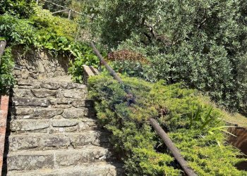 Giardino - Rustico Bagni di Lucca - foto 63