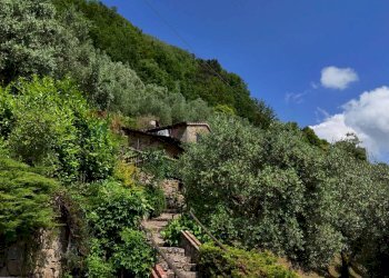 Vista delle montagne - Rustico Bagni di Lucca - foto 75