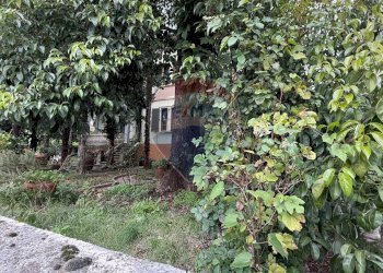 Giardino - Villa Borgo a Mozzano - foto 4