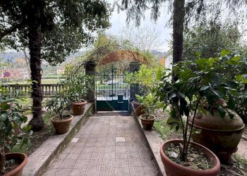 Giardino - Villa Borgo a Mozzano - foto 6