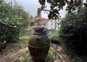 Giardino - Villa Borgo a Mozzano - foto 69