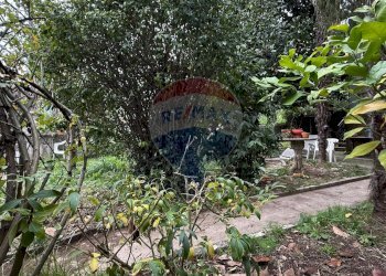 Giardino - Villa Borgo a Mozzano - foto 85