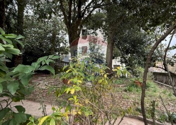 Giardino - Villa Borgo a Mozzano - foto 87