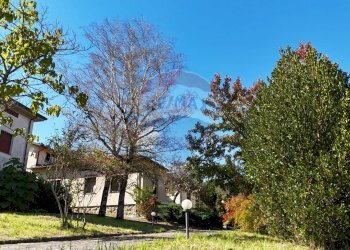 Giardino - Villa Camporgiano - photo 26