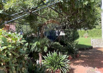 Giardino - Appartamento Viale italia Borgo a Mozzano, Borgo a Mozzano - foto 21