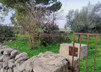 Giardino - Rustico CONTRADA CAVA LAZZARO OLIVELLA
 
1, Modica - foto 11