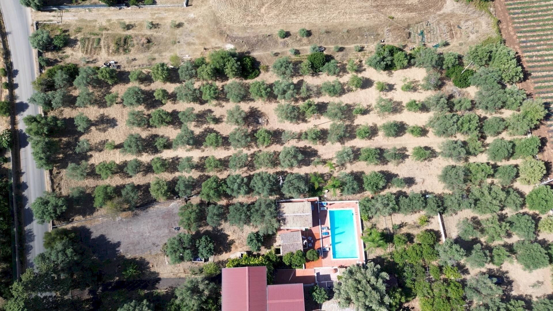 Foto 2 - Agricultural land STRADA PER OGNINA, Siracusa - photo 2