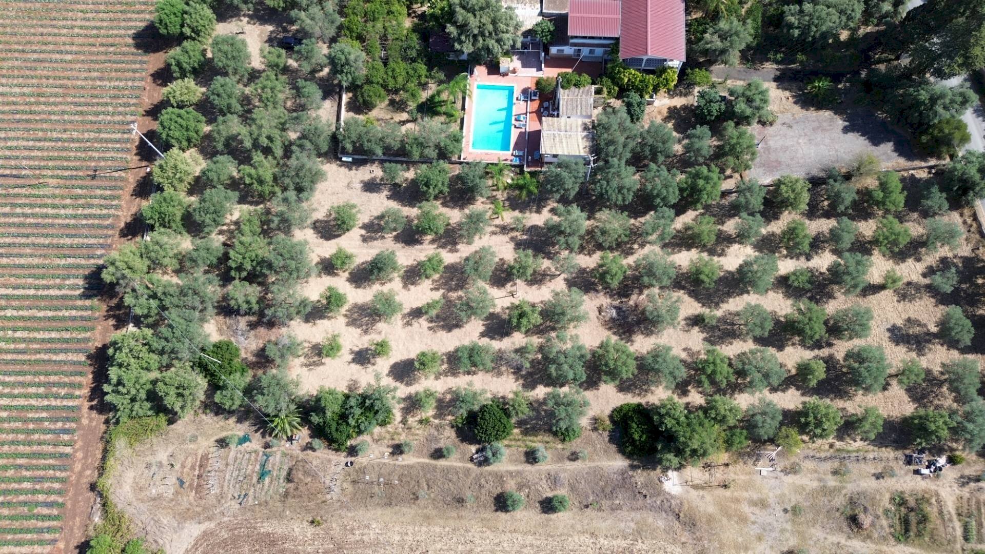 Foto 3 - Agricultural land STRADA PER OGNINA, Siracusa - photo 3