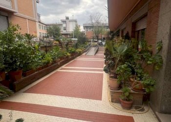 Cortile interno - Trilocale via Giovanni Domenico Paracciani, 20, Roma - foto 28