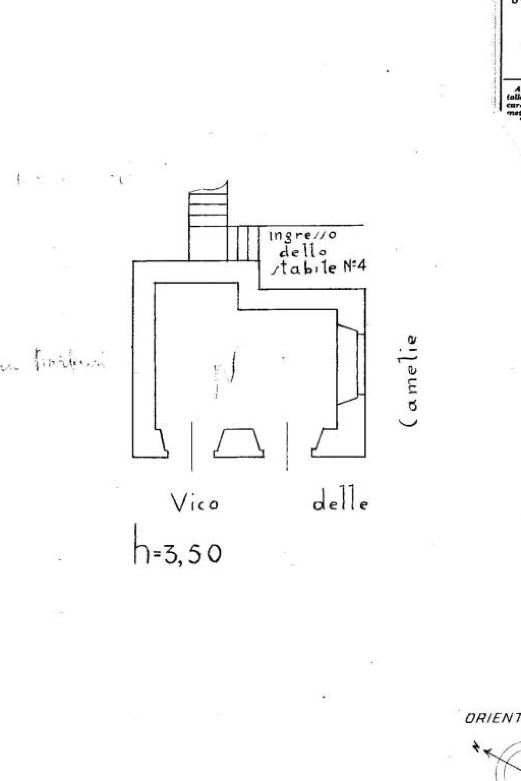 Negozio vico delle Camelie, 8, Genova (zona Centro Storico) - planimetria 1