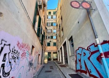 Zona - Negozio vico delle Camelie, 8, Genova (zona Centro Storico) - foto 4