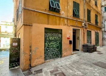 Zona - Negozio vico delle Camelie, 8, Genova (zona Centro Storico) - foto 8