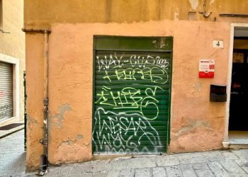 Ingresso - Negozio vico delle Camelie, 8, Genova (zona Centro Storico) - foto 9